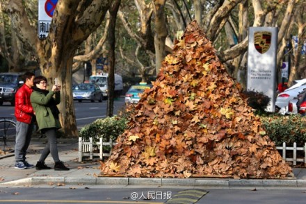 中国美院南山校区 同学用落叶堆了一座“金字塔”-3
