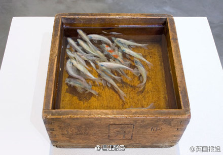 日本艺术家Riusuke Fukahori:创作的3D金鱼绘画作品欣赏-4