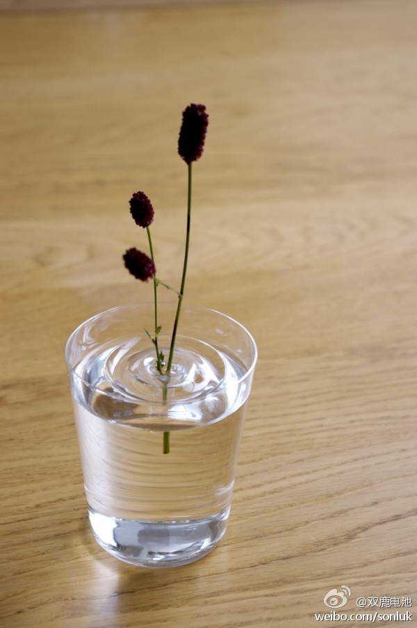oodesign工作室推出的漂浮在水上PET树脂花瓶