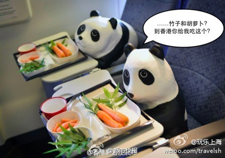 香港：1600只可爱纸熊猫上演创意“快闪”公益活动