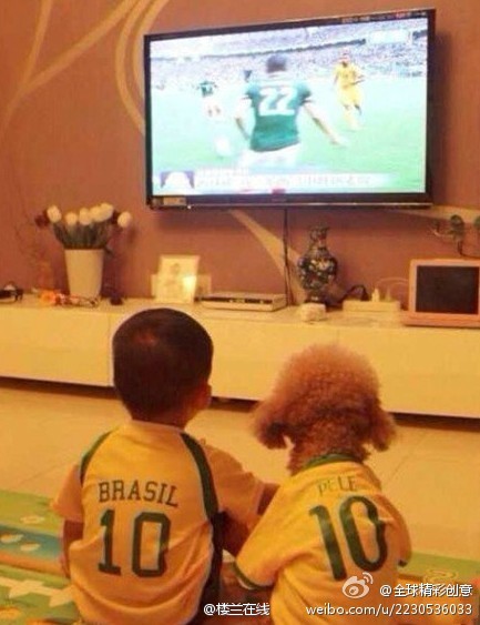 2014巴西世界杯 惊现真正的伪球迷