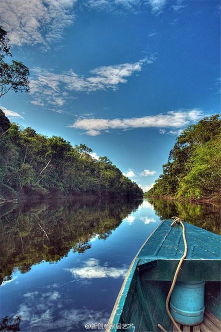 创意摄影：巴西亚马逊热带雨林的猎奇风景-3