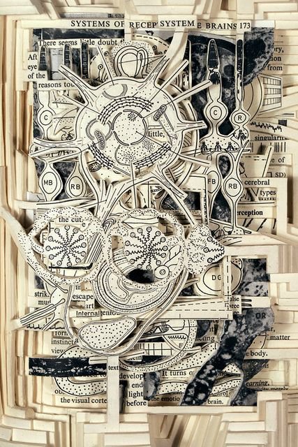 美国艺术家Brian Dettmer 创意书雕作品-2