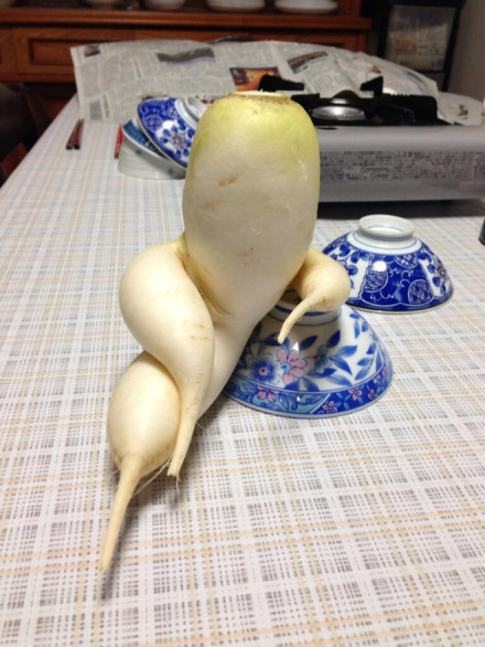 逗比的蔬菜们欢乐多 看看奇葩外形的蔬菜