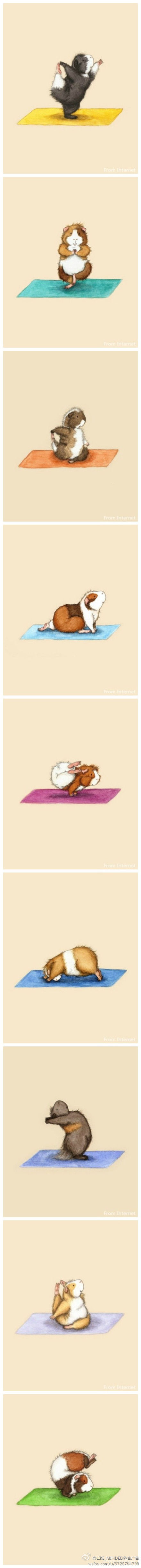插画师Lesley DeSantis作品 在练瑜伽的仓鼠