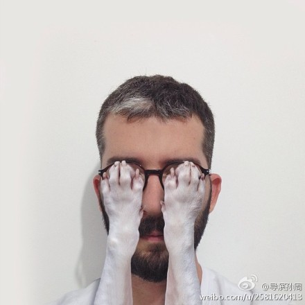 网友Rafael Mantesso用插画恶搞自己的斗牛梗狗-3