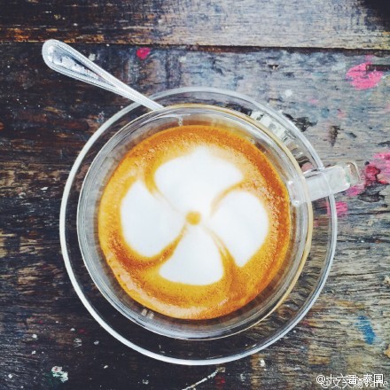 泰国清迈全玻璃透明咖啡馆local cafe-3