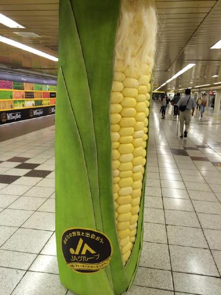 东京新宿地下通道 蔬菜造型的圆柱