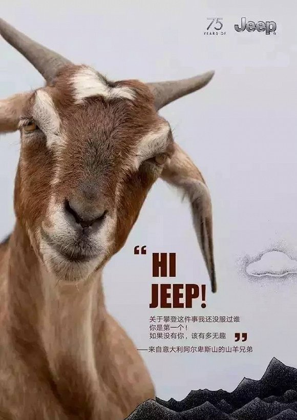 Jeep 75周年宣传海报 可爱动物做主角-3