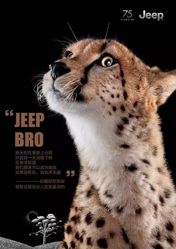 Jeep 75周年宣传海报 可爱动物做主角-6