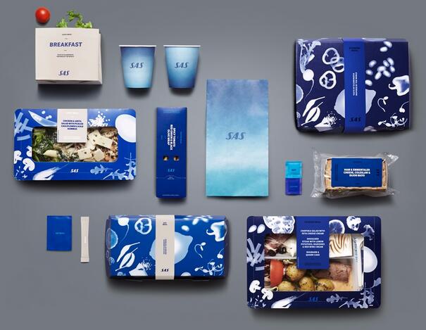 SAS北欧航空 全新品牌视觉系统欣赏-3