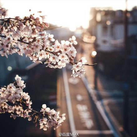 日本街头摄影师Takashi Yasui摄影作品欣赏-1
