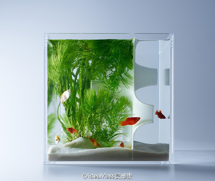 创意设计 日本设计师Haruka Misawa将空气塞入水族箱作品