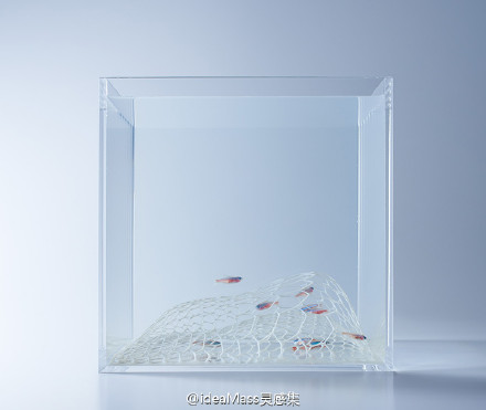 日本设计师Haruka Misawa将空气塞入水族箱作品-3
