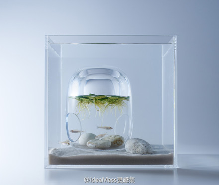 日本设计师Haruka Misawa将空气塞入水族箱作品-2