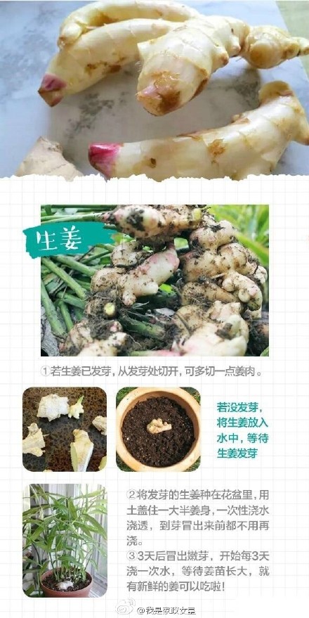 玻璃瓶的9个创意利用 环保又有趣-4