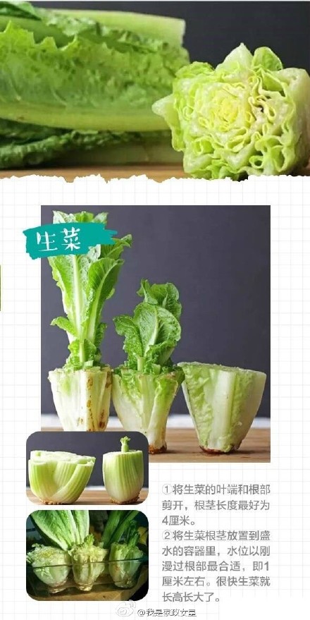 玻璃瓶的9个创意利用 环保又有趣-5