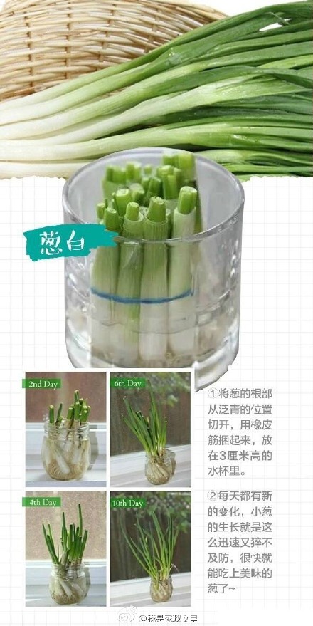 玻璃瓶的9个创意利用 环保又有趣-6