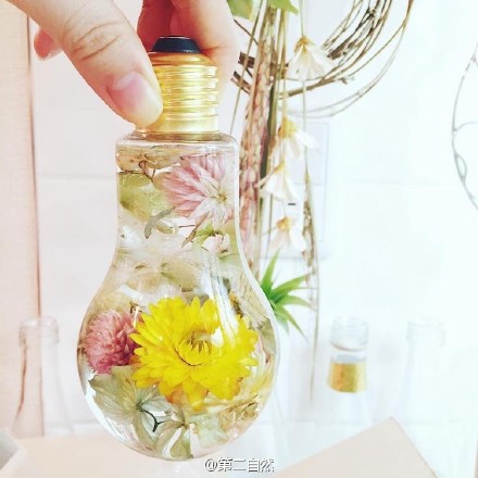 日本花艺设计师Rie Okitsu 灯泡里的美丽鲜花-1