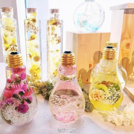 日本花艺设计师Rie Okitsu 灯泡里的美丽鲜花-2