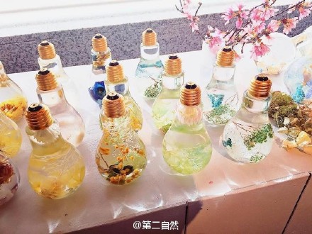 日本花艺设计师Rie Okitsu 灯泡里的美丽鲜花-3