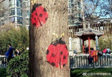 北京陶然亭公园将小动物画上树木-3