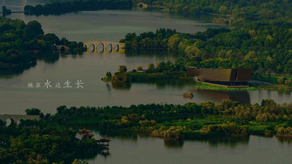 《杭州不仅是一首诗》城市宣传片，简直美如画