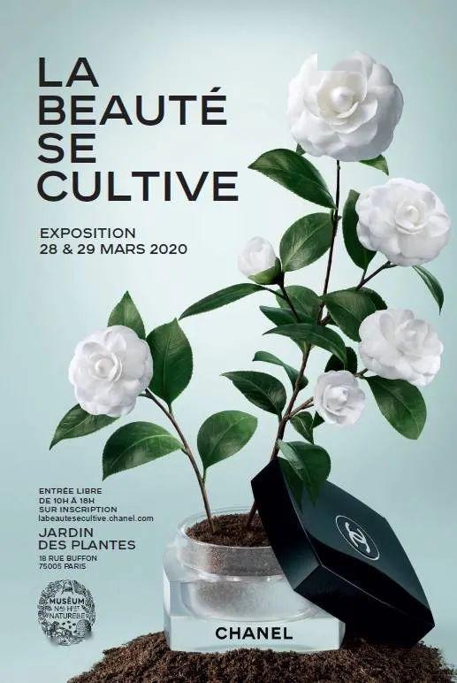 法国奢侈品品牌香奈儿 Chanel 沉浸式园艺体验展9月在巴黎举办
